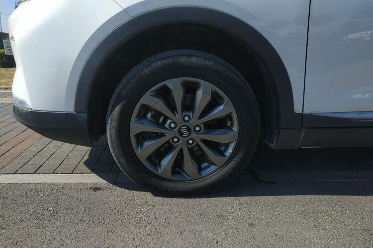 Used WM Motor EX5 2020 EX5 400 Jike Xing Edition Left Front Wheel Hub