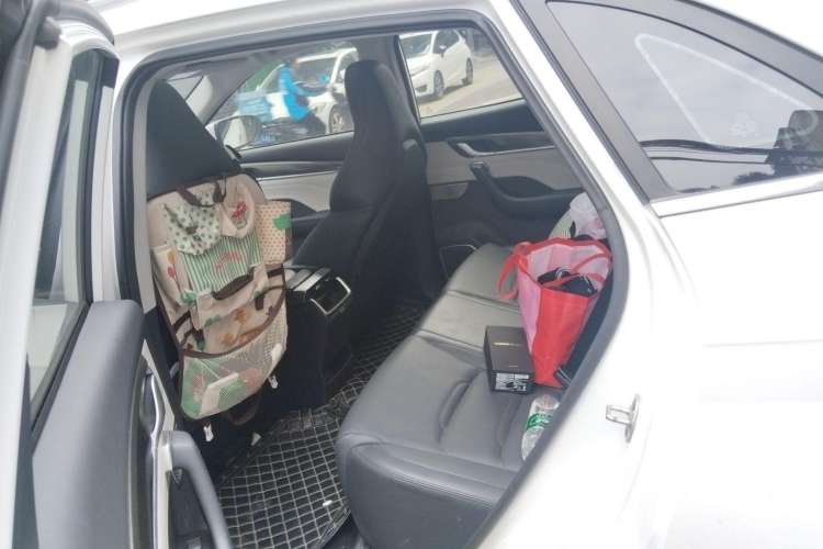 Used WM Motor EX5 2020 EX5-Z Fun Dynamic Edition Left Rear Seat