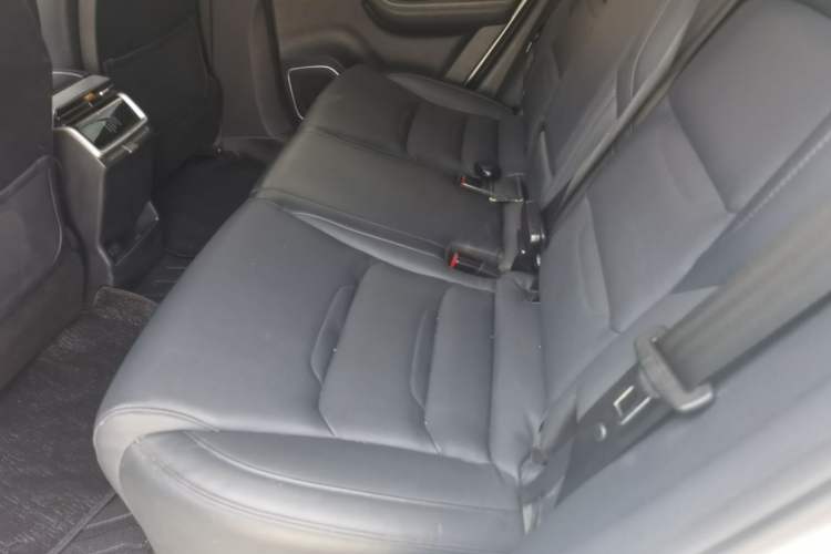 Used WM Motor EX5 2020 EX5 475 Jike Xing Edition Left Rear Seat