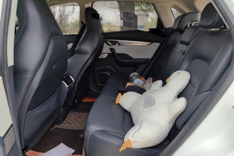 Used WM Motor EX5 2020 EX5-Z Fun Dynamic Edition Left Rear Seat