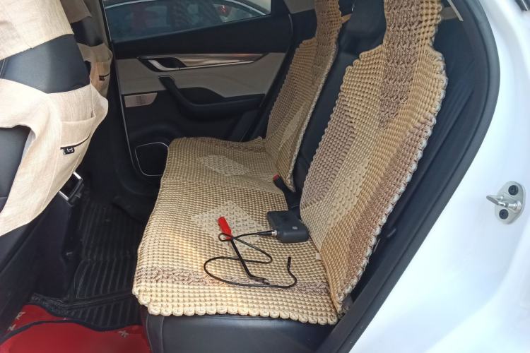 Used WM Motor EX5 2020 EX5-Z Nex Exploration Edition Left Rear Seat