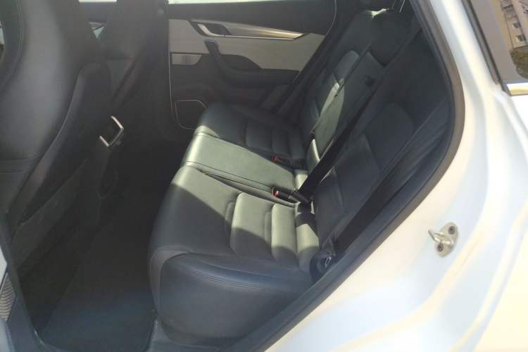 Used WM Motor EX5 2020 EX5-Z Fun Dynamic Edition Left Rear Seat