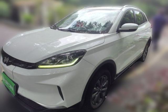 Used WM Motor EX5 2020 EX5 400 Jike Xing Edition