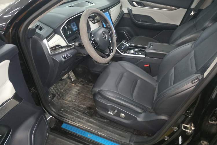 Used WM Motor EX5 2021 EX5-Z Fun Dynamic Edition Left Front Seat