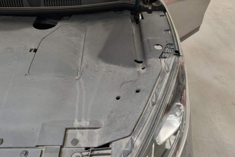 Used WM Motor EX5 2021 EX5-Z Fun Dynamic Edition Engine Bay Left