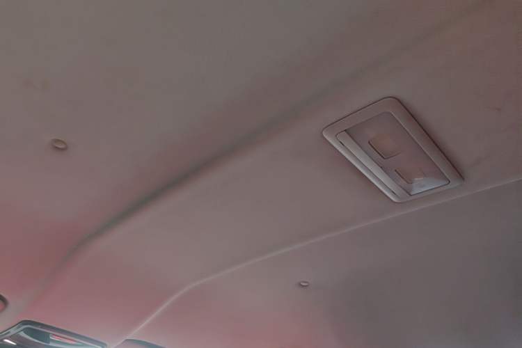 Used WM Motor EX5 2021 EX5-Z Fun Dynamic Edition Headliner