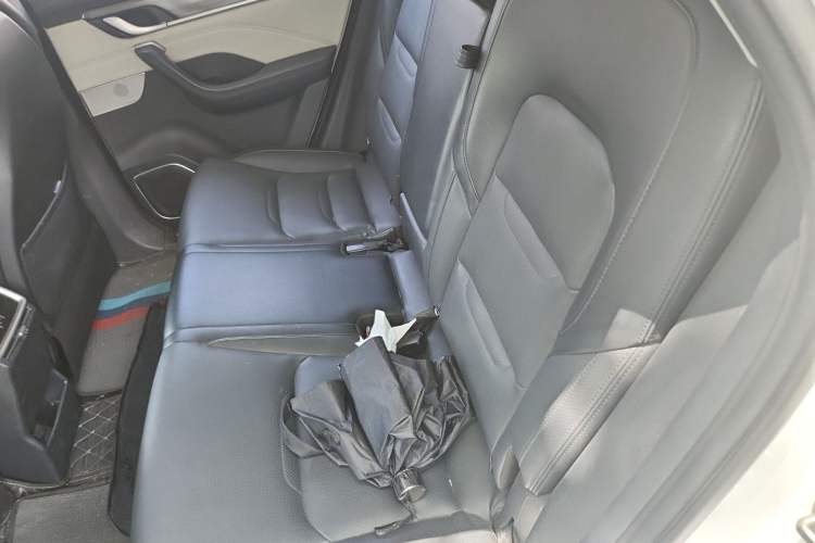 Used WM Motor EX5 2021 EX5-Z Fun Dynamic Edition Left Rear Seat