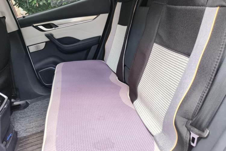 Used WM Motor EX5 2021 EX5-Z Fun Dynamic Edition Left Rear Seat