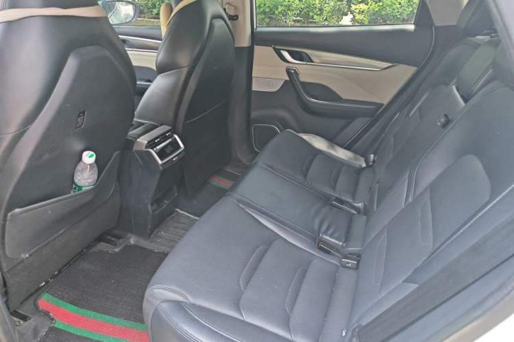Used WM Motor EX5 2021 EX5-Z Fun Dynamic Edition Left Rear Seat