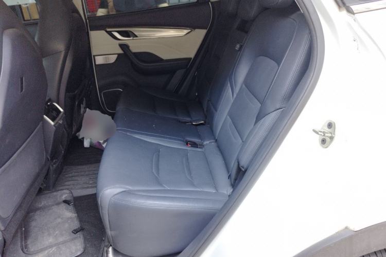 Used WM Motor EX5 2021 EX5-Z Fun Dynamic Edition Left Rear Seat