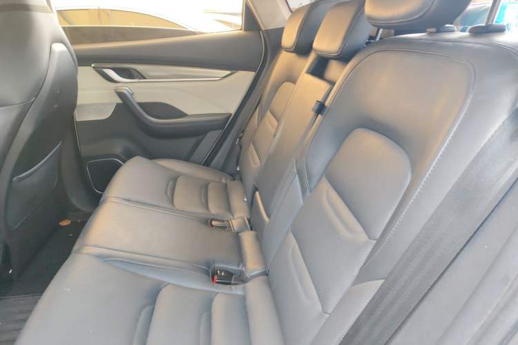 Used WM Motor EX5 2021 EX5-Z Fun Dynamic Edition Left Rear Seat