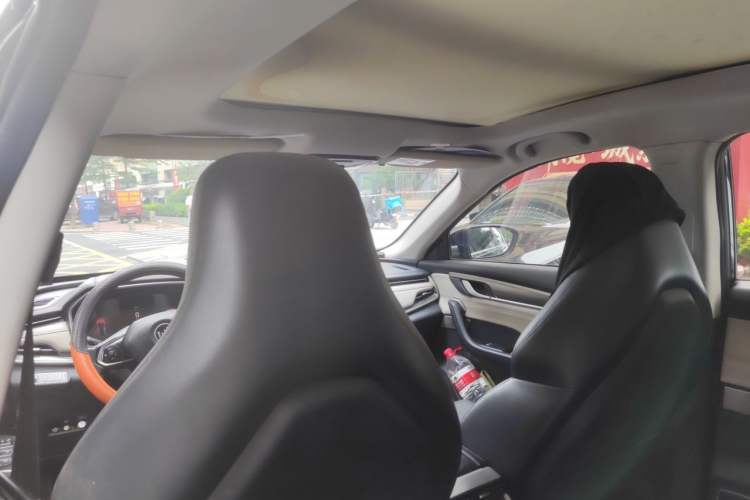 Used WM Motor EX5 2022 EX5-Z Nex Exploration Edition Headliner