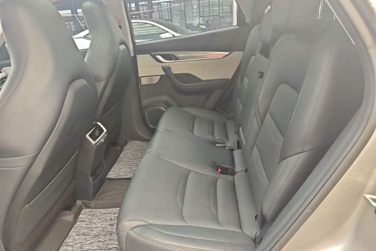Used WM Motor EX5 2022 EX5-Z Nex Exploration Edition Left Rear Seat