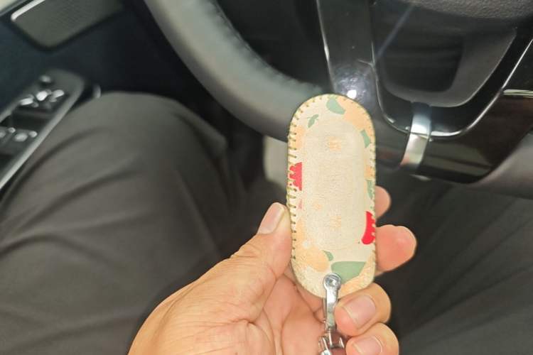 Used WM Motor EX5 2022 EX5-Z Nex Exploration Edition Vehicle Key