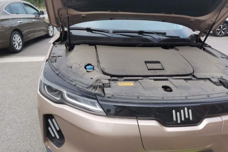 Used WM Motor EX6 2020 Plus Founder's Edition – First Launch Engine Bay Right