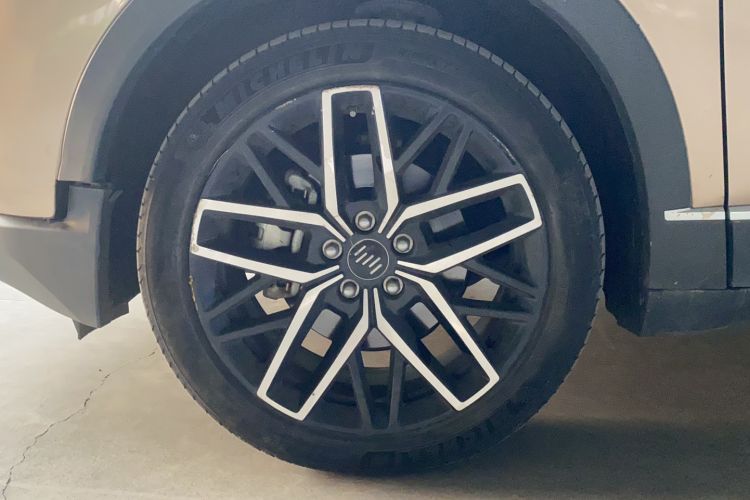 Used WM Motor EX6 2020 Plus Founder's Edition – First Launch Left Front Wheel Hub