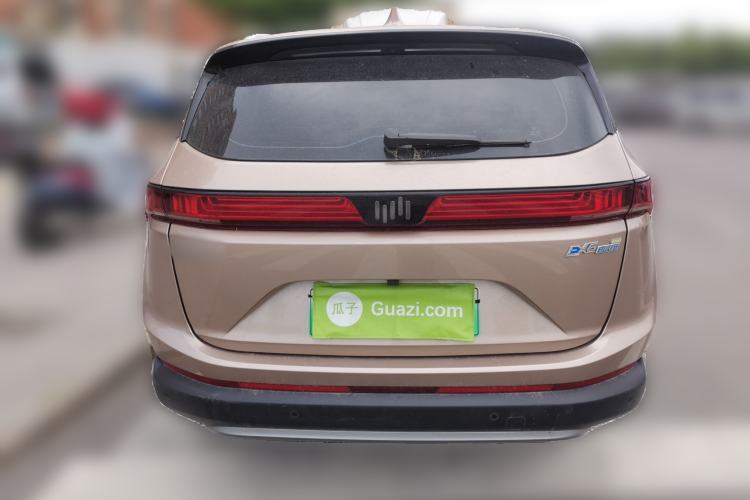 Used WM Motor EX6 2020 Plus Founder's Edition – First Launch Rear