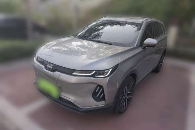 Used WM Motor EX6 2020 Plus Founder's Edition – First Launch