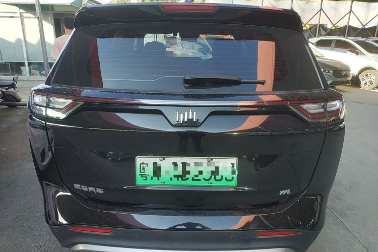 Used WM Motor W6 2021 520km PRO All-Round Edition Rear
