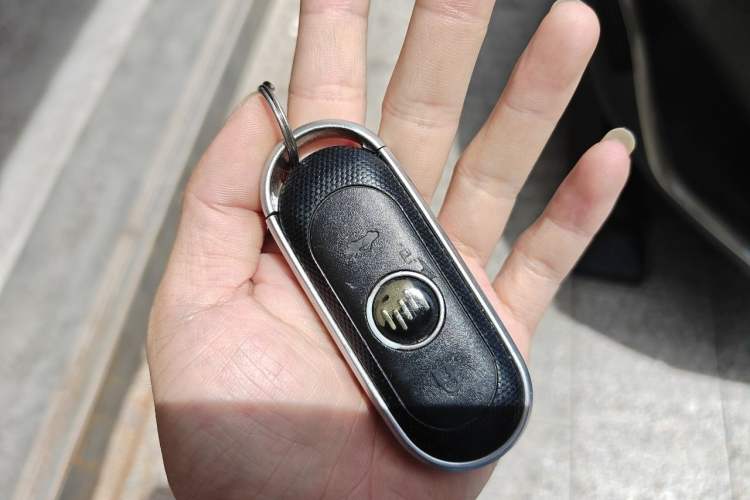 Used WM Motor W6 2021 520 km NEX Exploration Edition Vehicle Key