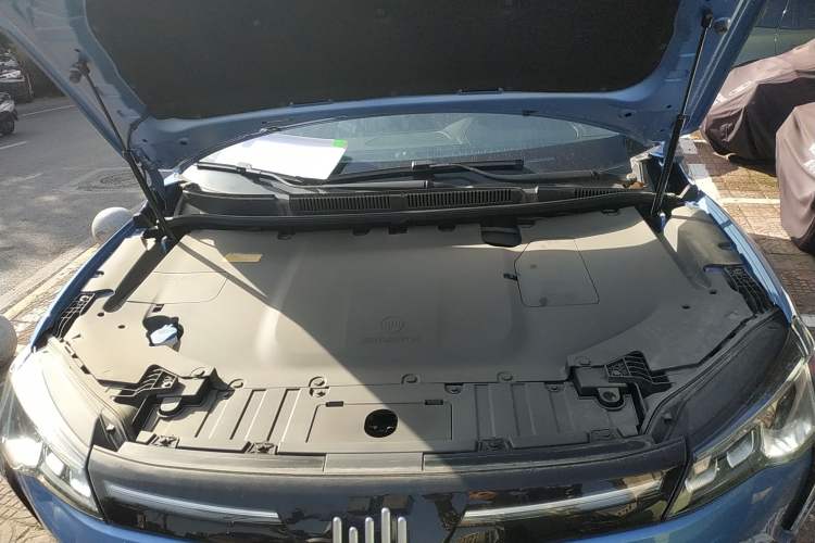 Used WM Motor W6 2021 520 km NEX Exploration Edition Engine Bay