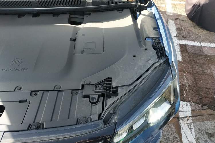 Used WM Motor W6 2021 520 km NEX Exploration Edition Engine Bay Left