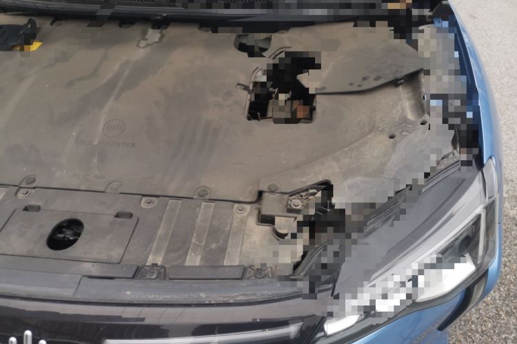 Used WM Motor W6 2021 520km PRO All-Round Edition Engine Bay Left