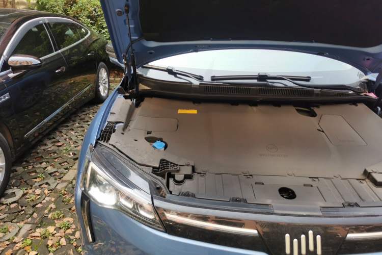 Used WM Motor W6 2021 520km PRO All-Round Edition Engine Bay Right