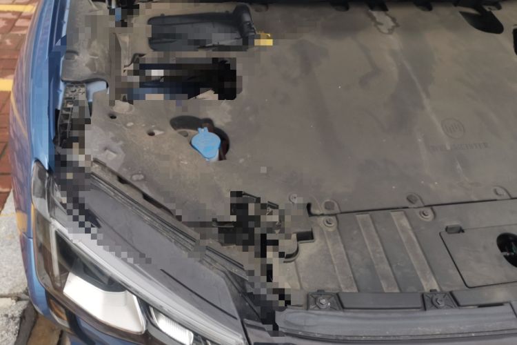 Used WM Motor W6 2021 520km PRO All-Round Edition Engine Bay Right