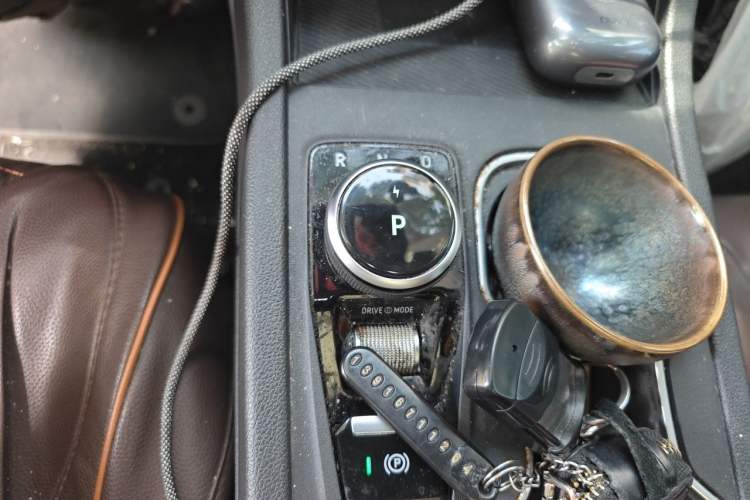 Used WM Motor W6 2021 520km PRO All-Round Edition Gear Lever