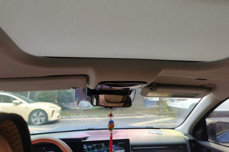 Used WM Motor W6 2021 520km PRO All-Round Edition Headliner