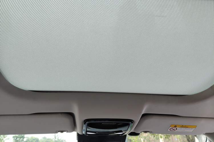 Used WM Motor W6 2021 520km ACE Advanced Intelligence Edition Headliner