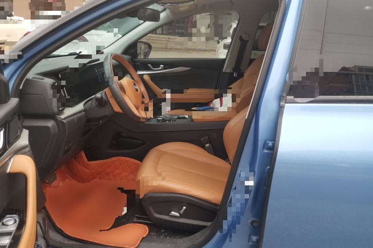 Used WM Motor W6 2021 520km PRO All-Round Edition Left Front Seat