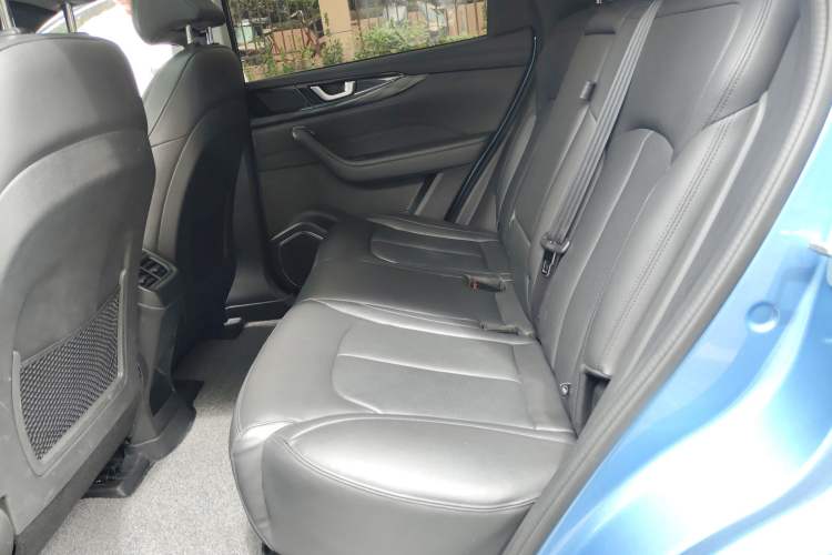 Used WM Motor W6 2021 520km ACE Advanced Intelligence Edition Left Rear Seat