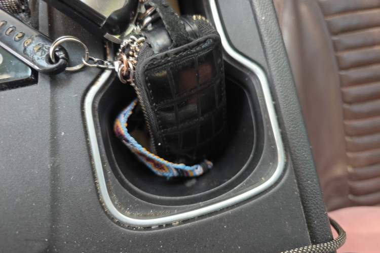 Used WM Motor W6 2021 520km PRO All-Round Edition Vehicle Key