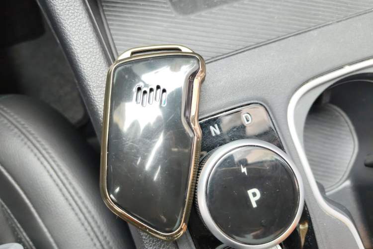Used WM Motor W6 2021 520km ACE Advanced Intelligence Edition Vehicle Key