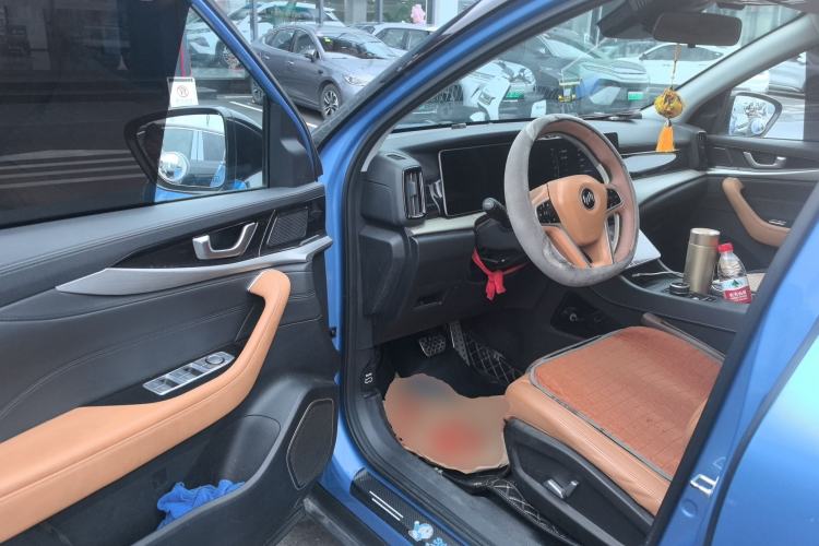 Used WM Motor W6 2021 520km PRO All-Round Edition Driver Seat