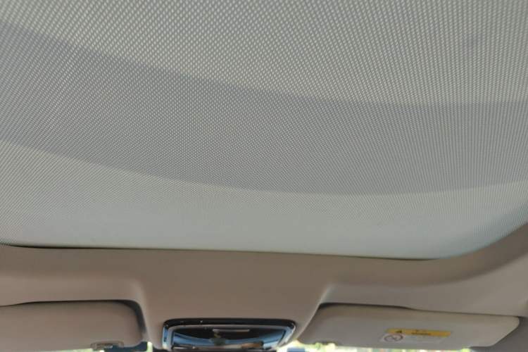 Used WM Motor W6 2021 520km PRO All-Round Edition Headliner