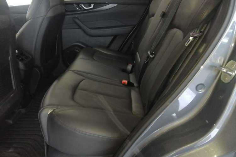Used WM Motor W6 2021 520km PRO All-Round Edition Left Rear Seat