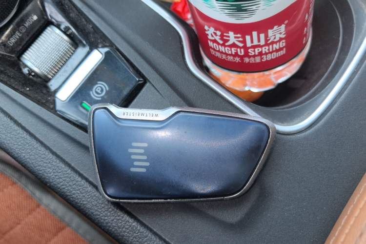 Used WM Motor W6 2021 520km PRO All-Round Edition Vehicle Key