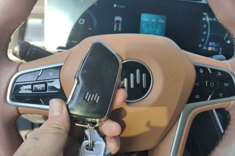 Used WM Motor W6 2021 520km PRO All-Round Edition Vehicle Key
