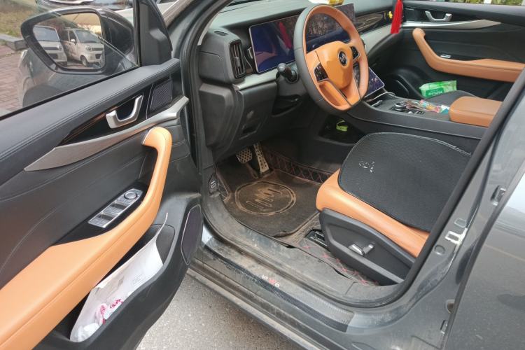 Used WM Motor W6 2021 520km PRO All-Round Edition Driver Seat