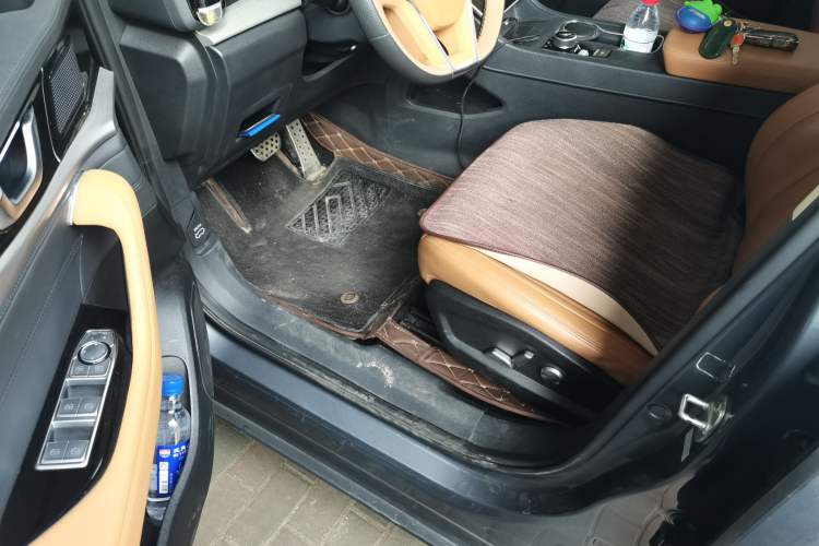 Used WM Motor W6 2021 520km ACE Advanced Intelligence Edition Driver Seat