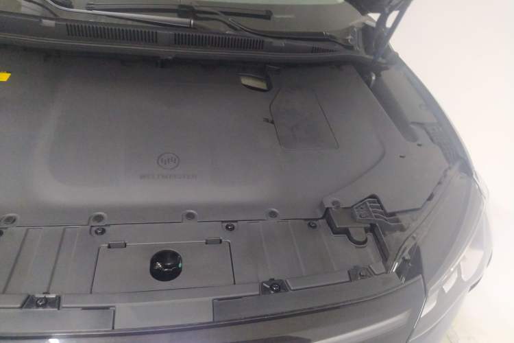 Used WM Motor W6 2021 520km PRO All-Round Edition Engine Bay Left