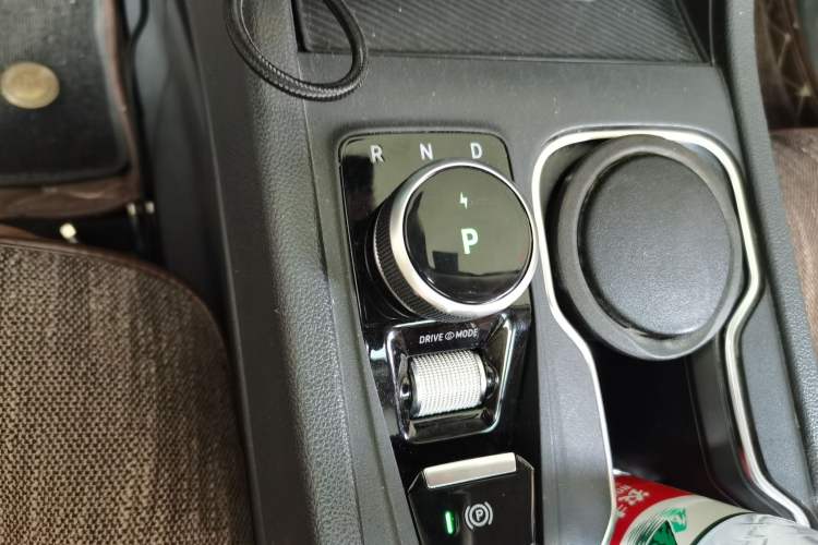 Used WM Motor W6 2021 520km ACE Advanced Intelligence Edition Gear Lever