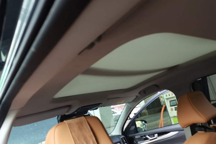 Used WM Motor W6 2021 520km ACE Advanced Intelligence Edition Headliner