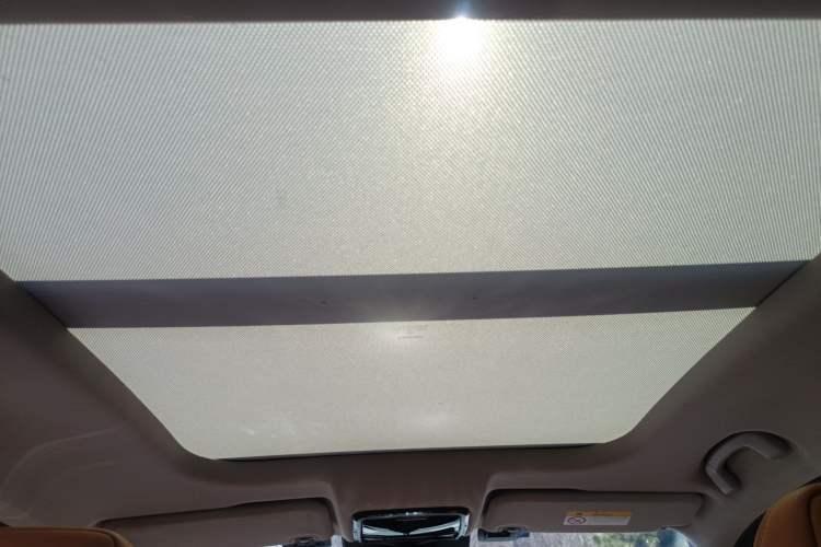 Used WM Motor W6 2021 520km ACE Advanced Intelligence Edition Headliner