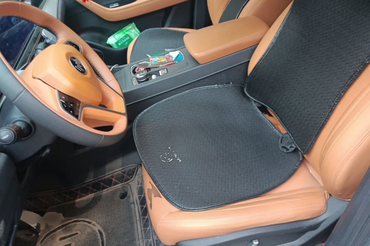 Used WM Motor W6 2021 520km PRO All-Round Edition Left Front Seat