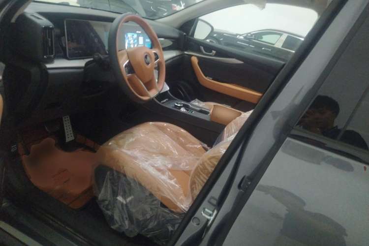 Used WM Motor W6 2021 520km PRO All-Round Edition Left Front Seat