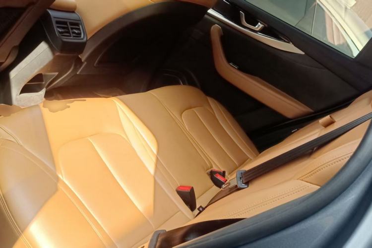 Used WM Motor W6 2021 520km PRO All-Round Edition Left Rear Seat